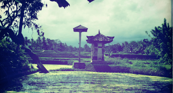 Bali: Best Local Food