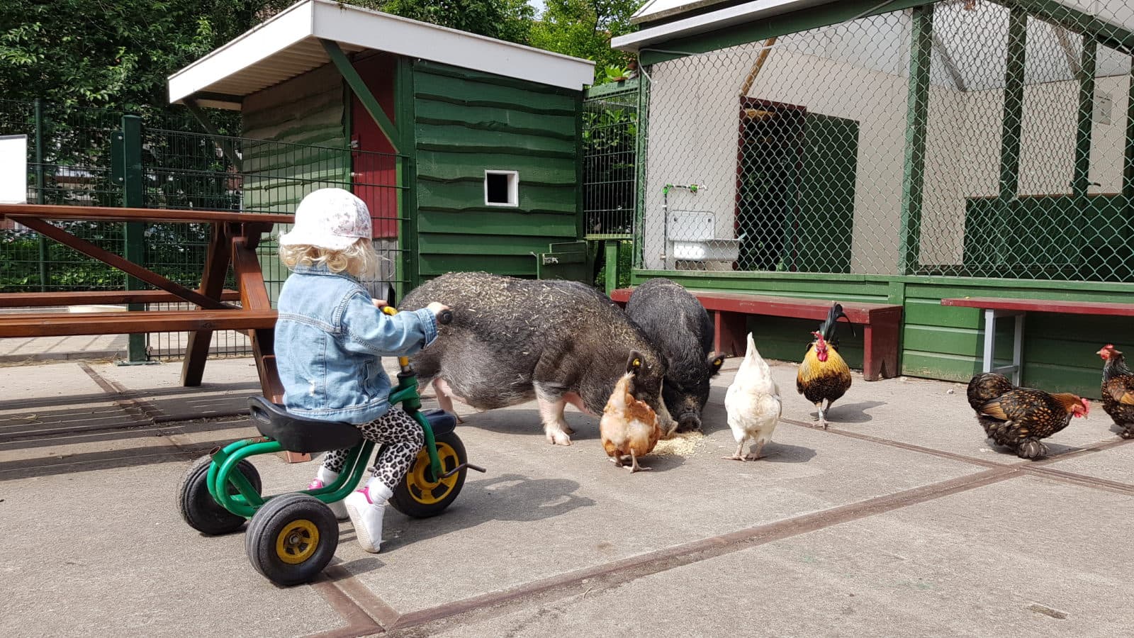 Kinderboerderij De Werf